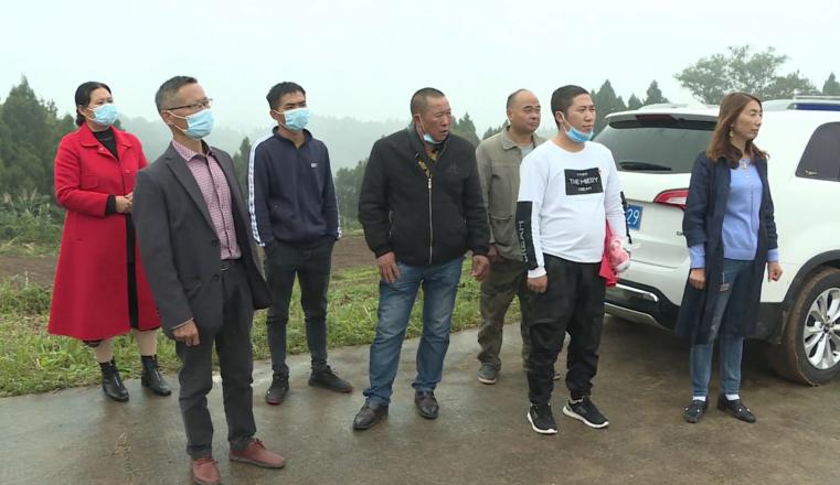 南充嘉陵区龙蟠,四川省南充市高坪区龙蟠镇