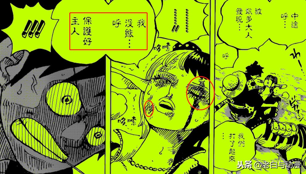 海贼王1112话鹰眼被重伤,海贼王1091话情报卡普死亡