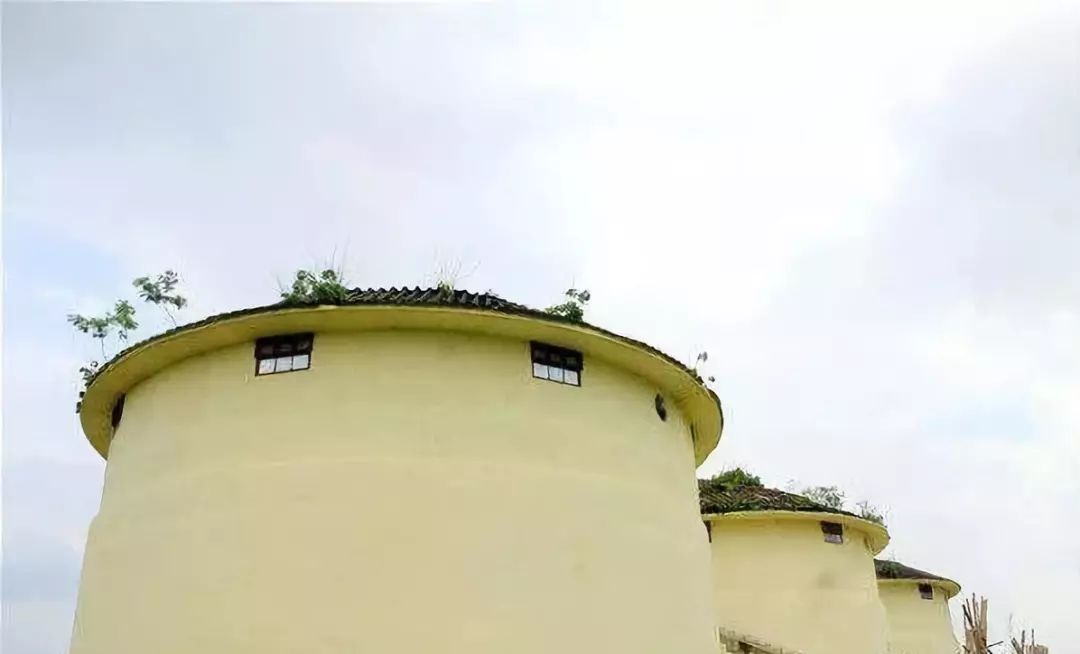 风靡香港79年，连续获得本土牛奶品牌销冠，今天带你解密维记牛奶