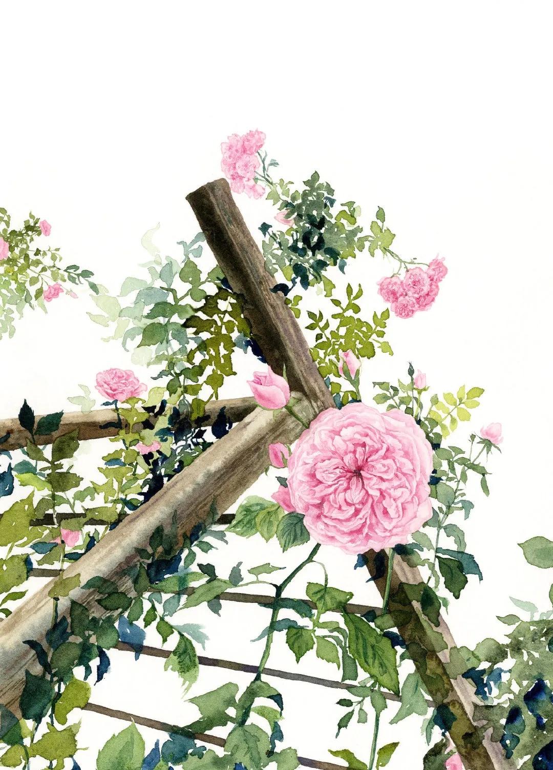 韩国高清顶级插画师,韩国插画师kwon