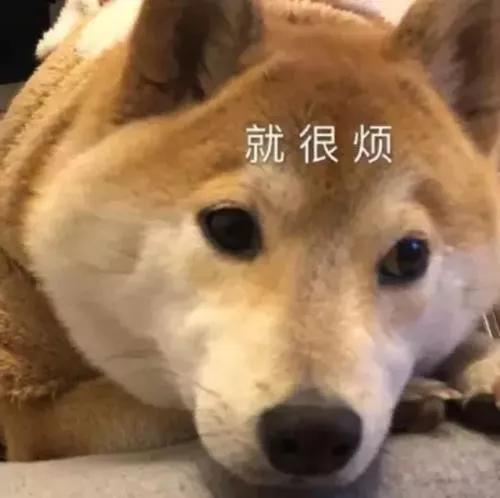 韩国秀智眼妆,秀智的眼妆