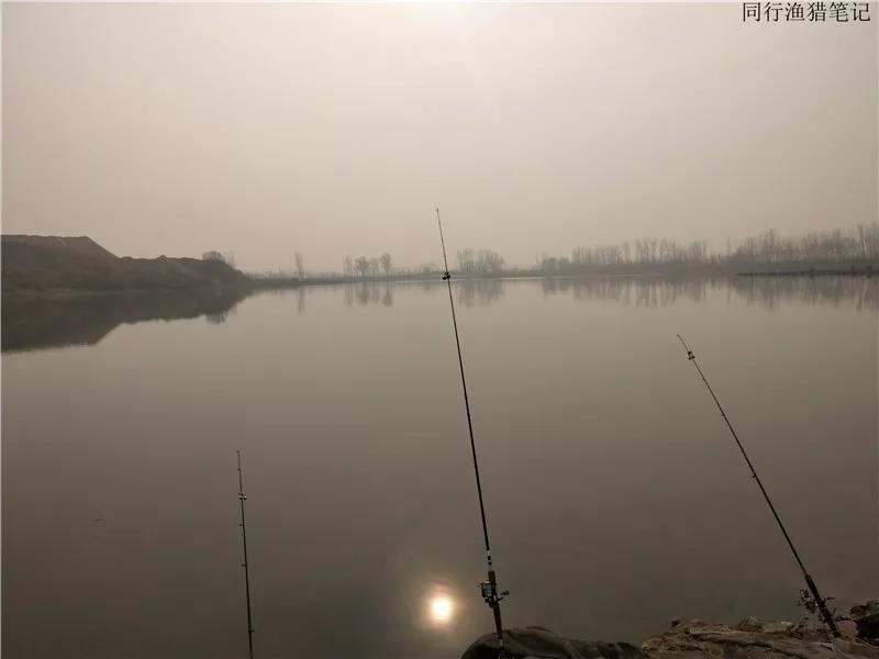 一顿操作猛如虎钓鲫鱼视频,一顿操作猛如虎一斤只剩一两