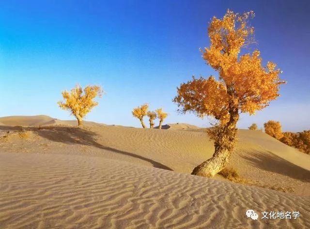 *疆新**地名为什么要进行汉字译写和单一罗马化?