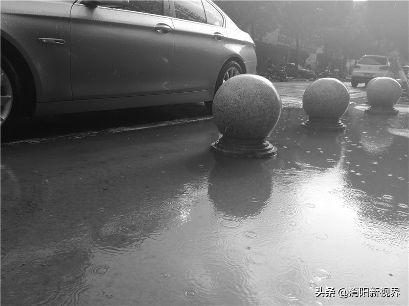 南阳八月七日下午这场雨，说来就来也不给你打个招乎