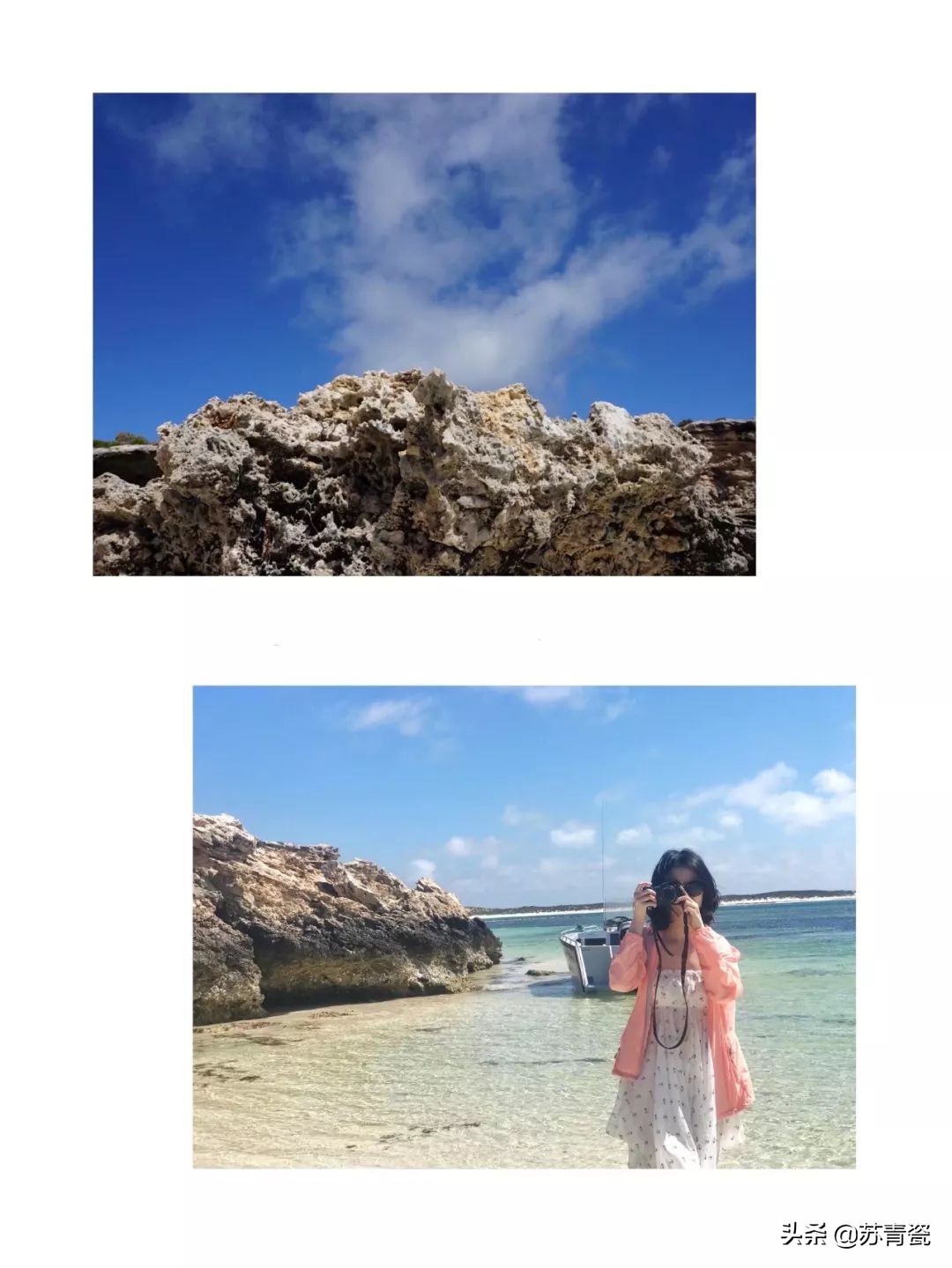 在荒郊野岭汽车没油了,飞机撞鸟灾难视频