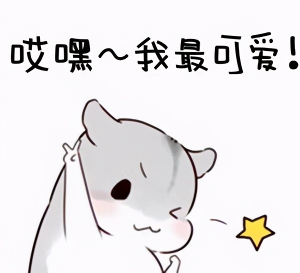 缃戞枃鎴掓帀姣掔樉,缃戠粶灏忚鎴掓帀姣掔樉