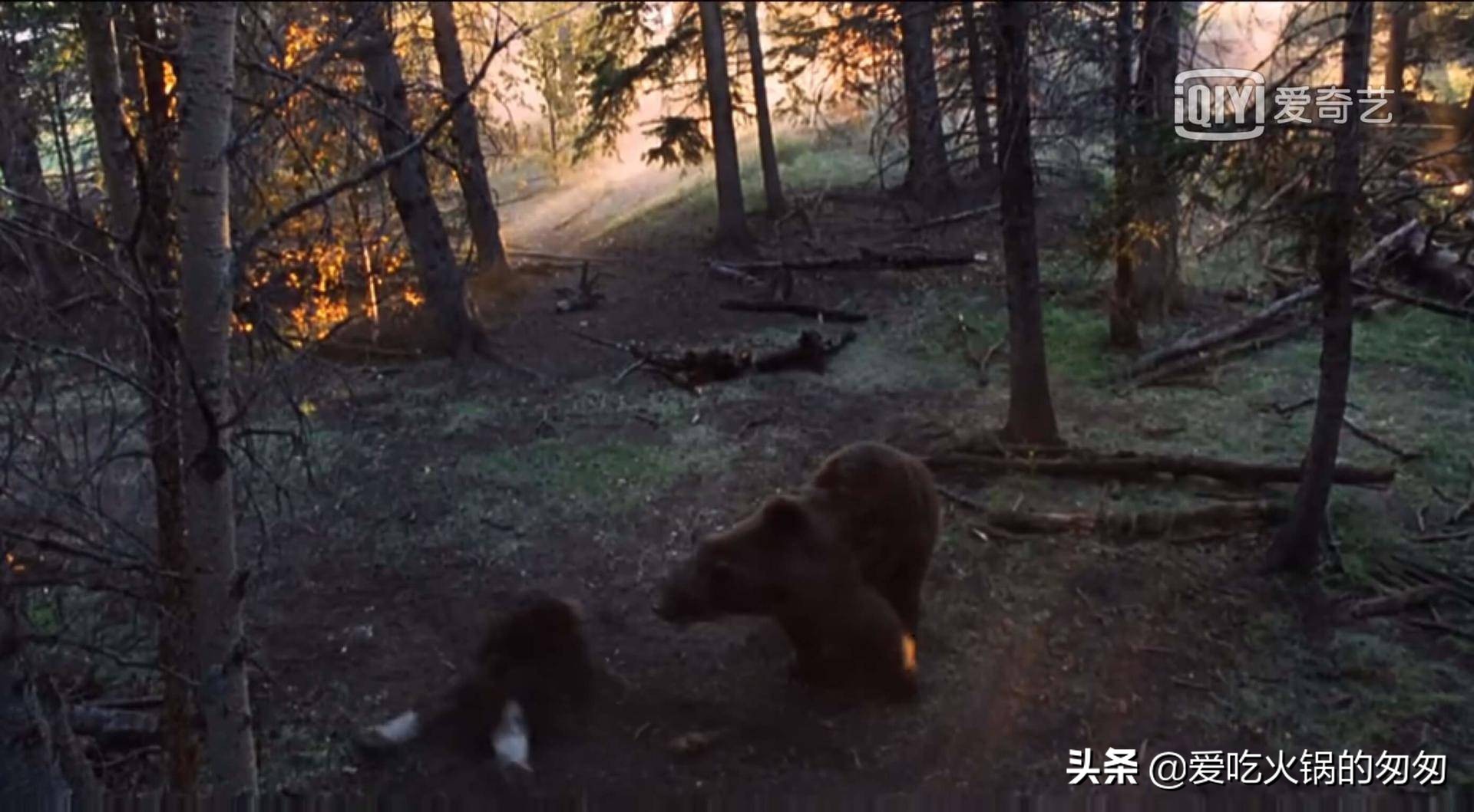 《燃情岁月》：我心狂野，一生放荡不羁爱自由