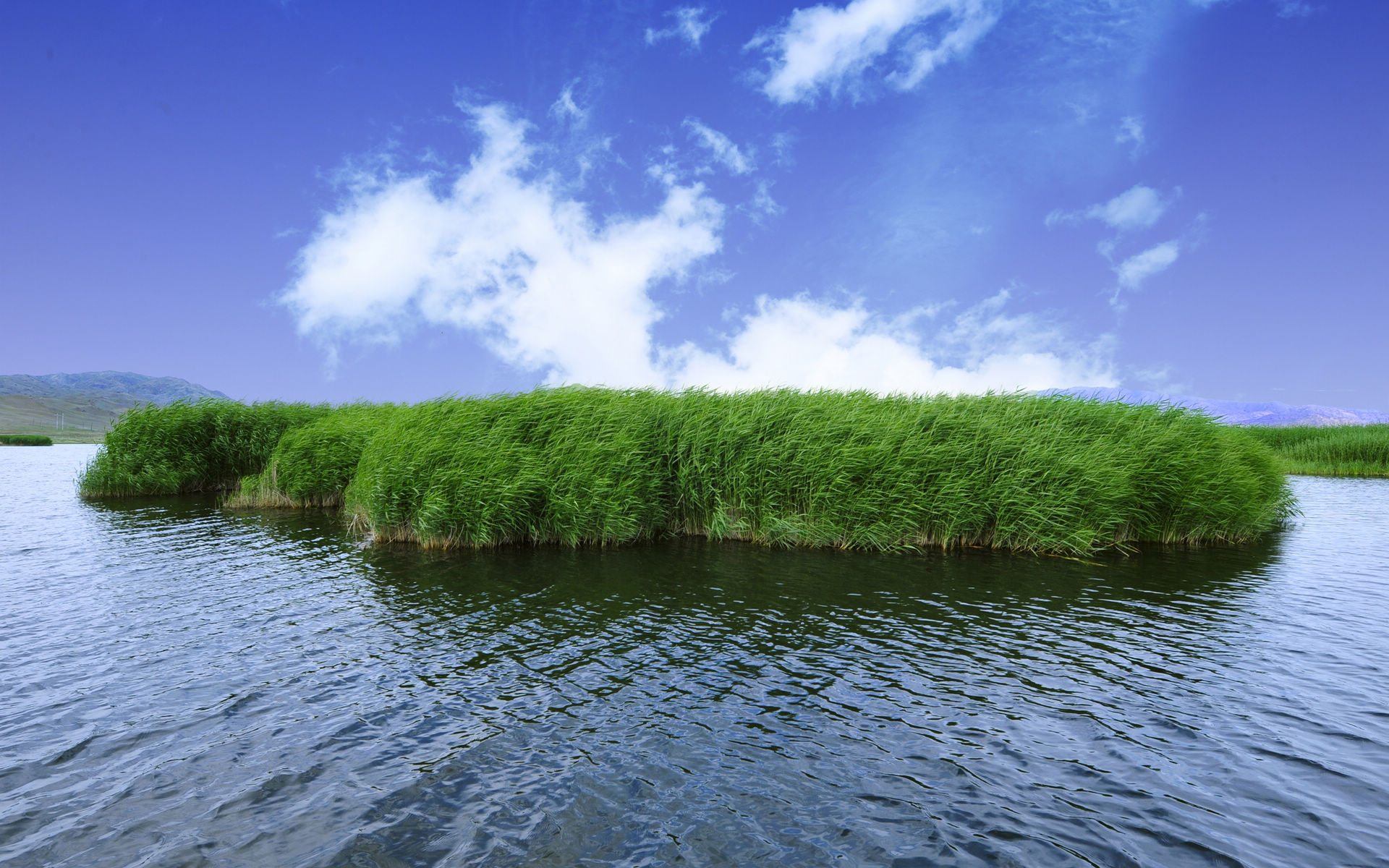 你的壁纸该换了4k超清,你的壁纸该换了图片