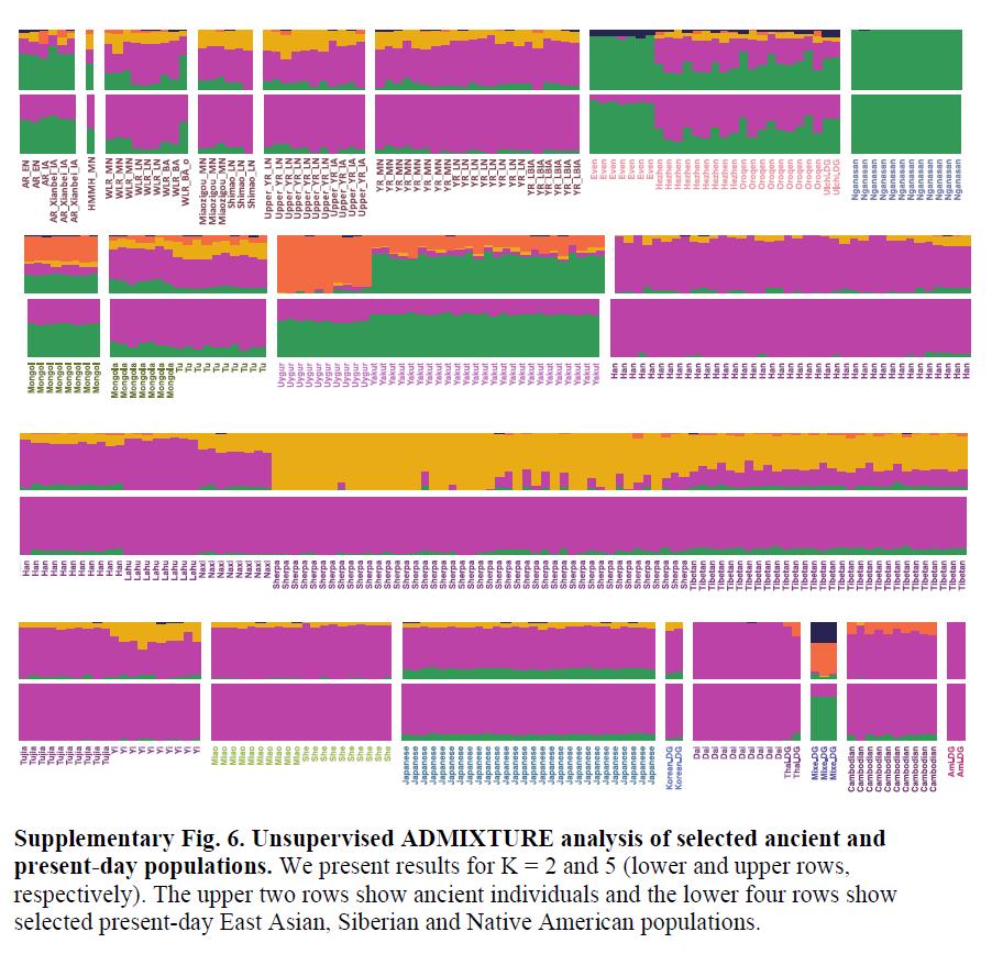 殷墟甲骨文反映商代祭祖文化,殷墟古人样本