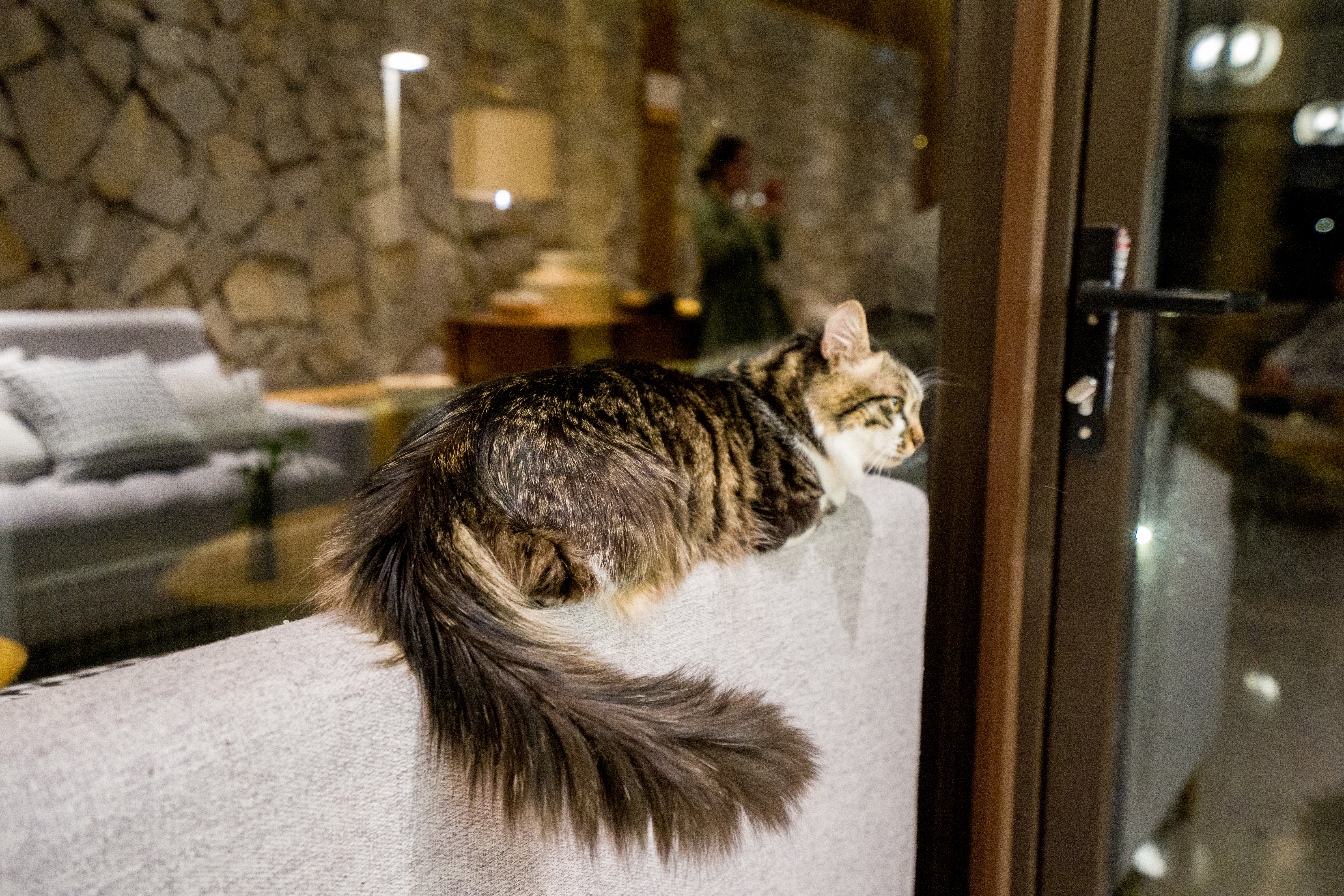 商量岗内的这家酒店,四季气候适宜居住,住客宛若身处桃花源