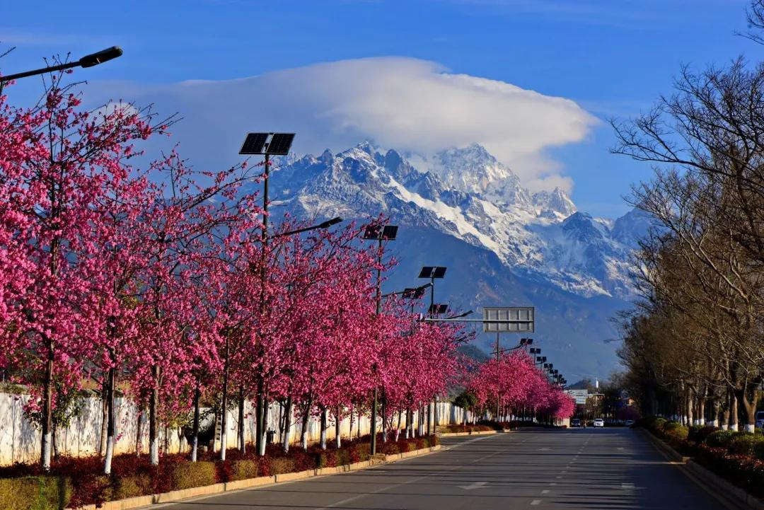瞧!这花花世界谁不爱