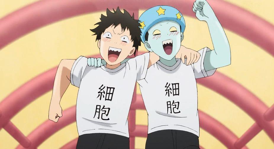 9.2分，半年后这么萌的片终于回来了