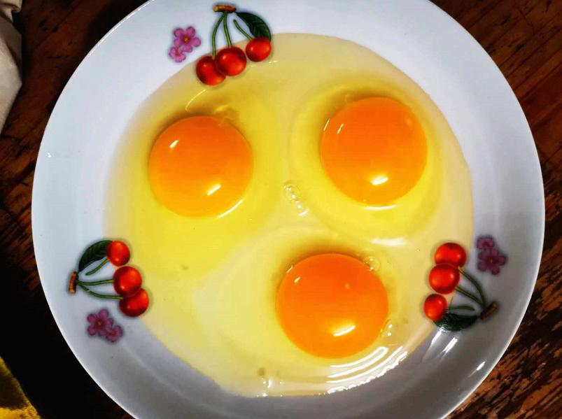 900元开启养鸡路，10年九死一生，创出“百草鸡”