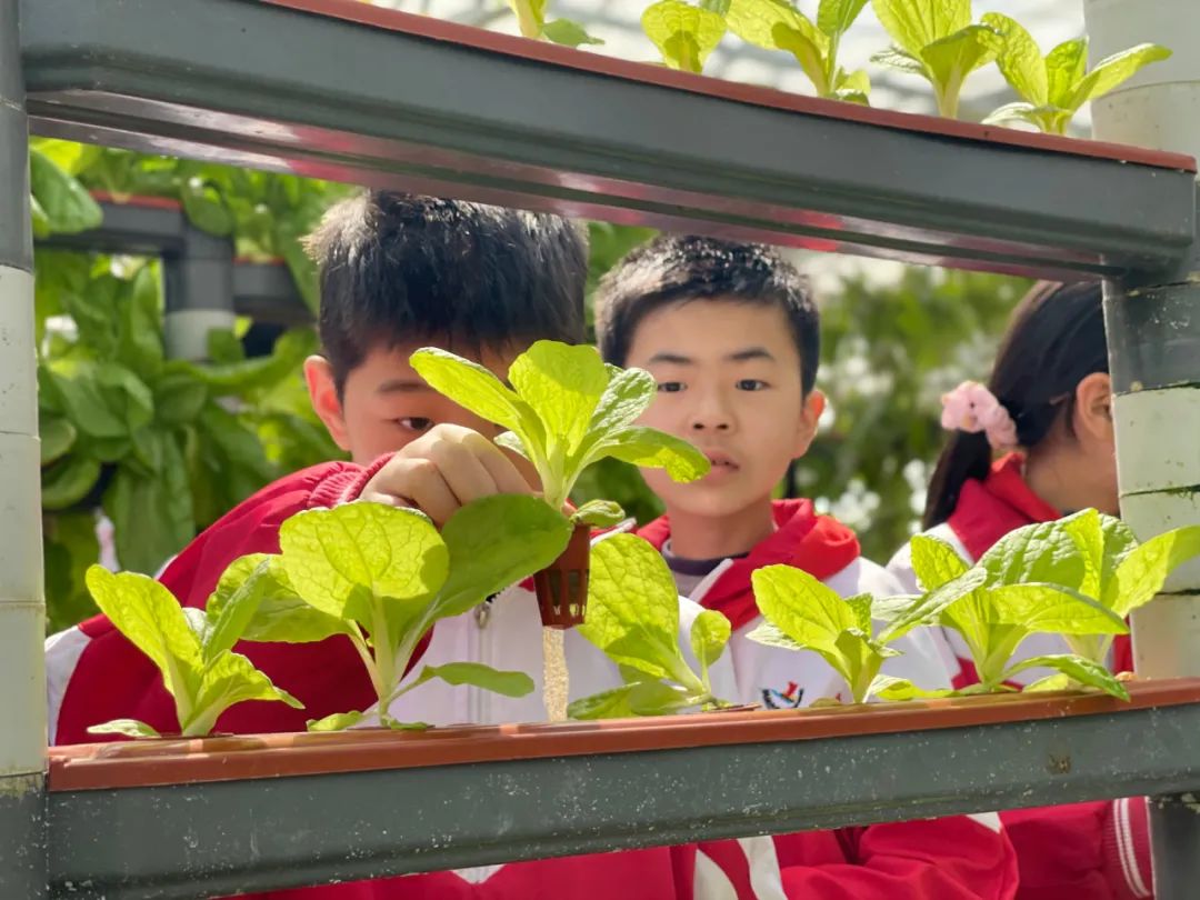 杭州旅游玻璃栈道漂流,杭州山清水秀大峡谷