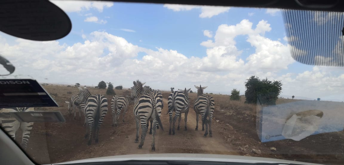 疫情下的肯尼亚内罗毕,肯尼亚内罗毕疫情怎样