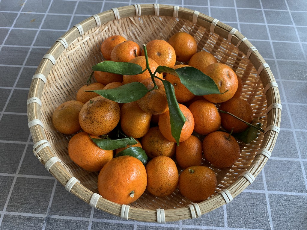 经常吃砂糖橘手会发黄吗,经常吃砂糖橘对孩子好吗