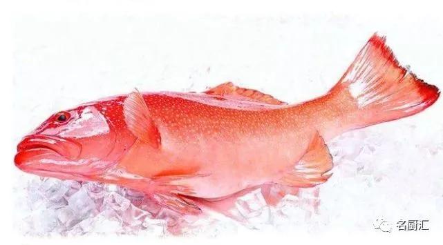 世界顶级十大海鲜,十大顶级海鲜价格排行榜