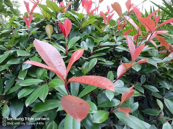 三星galaxys21续航评测,千元机续航王者