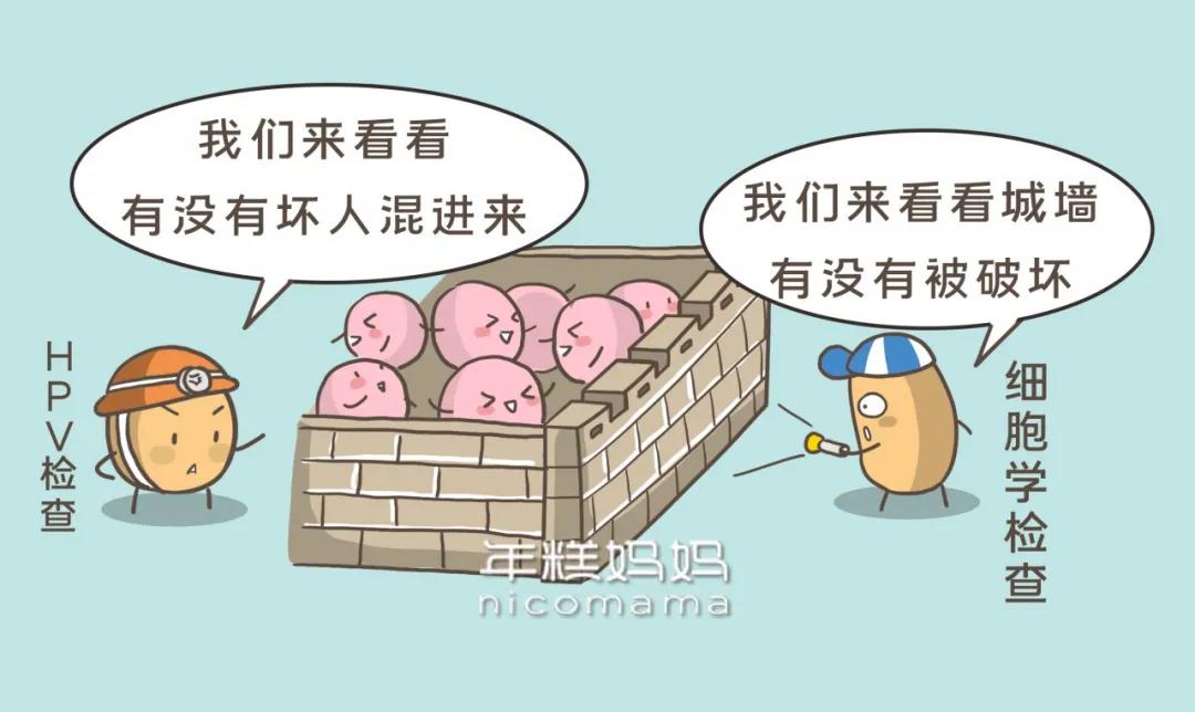 女性超过20岁必做的检查,女性朋友们这几个检查一定要做