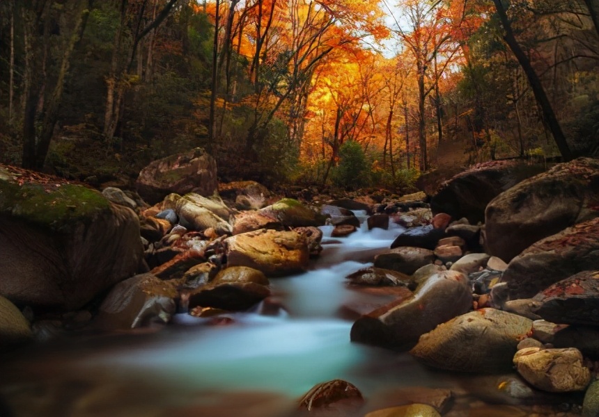 陕西5天红叶之旅,陕川交界的景区