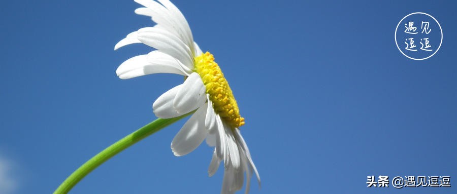 当一个人在婚姻里很心累,没人心疼自己要学会心疼自己句子