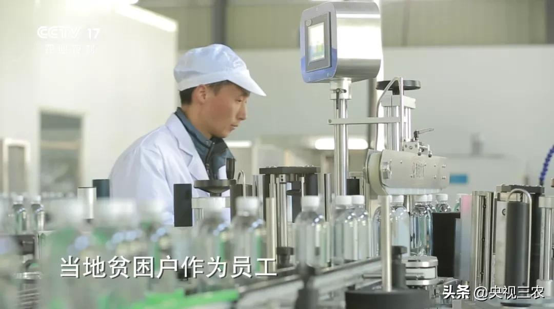 他放弃高薪回村干这一行，旁人不理解，如今大获成功