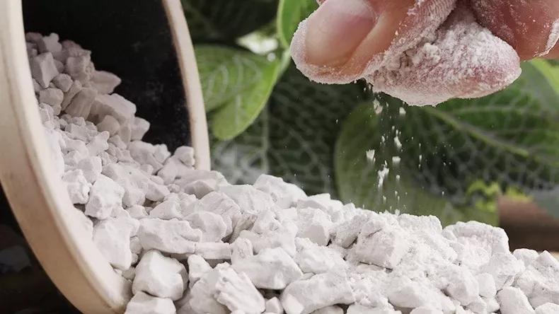 六安纯红薯粉粒|严选新鲜红薯,多份健康,多份安心