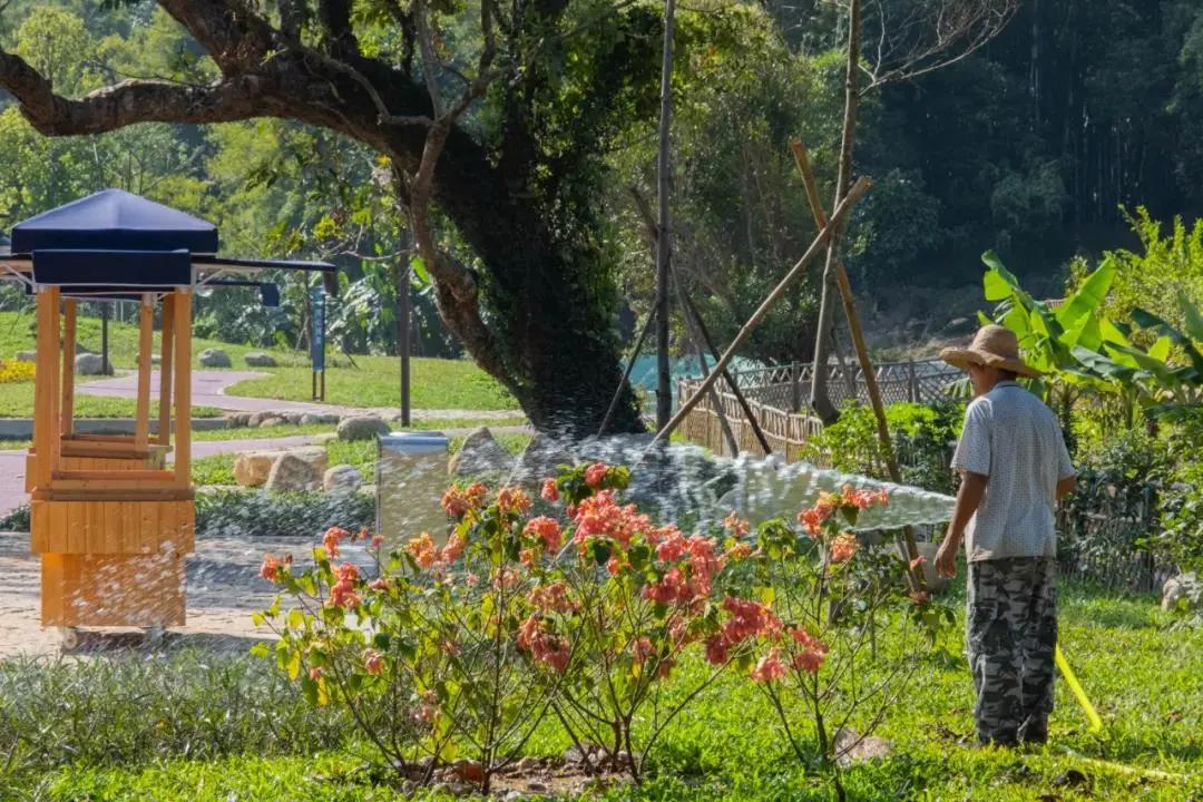 在大山深处幽静绝美的村落,深藏大山中的村落