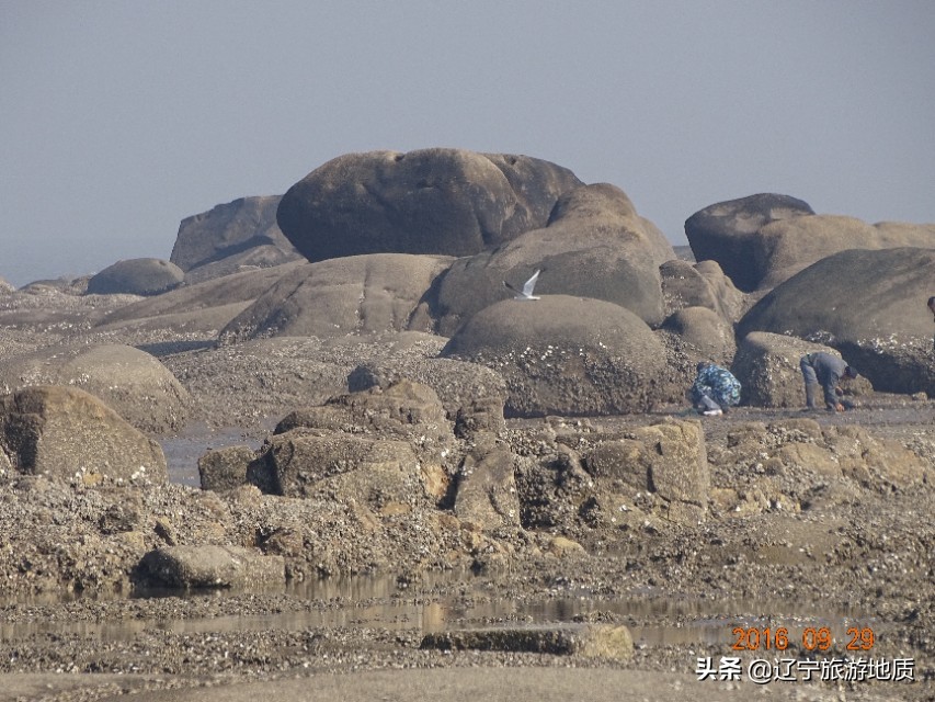 营口黄金海岸沙滩,营口北海海滩攻略