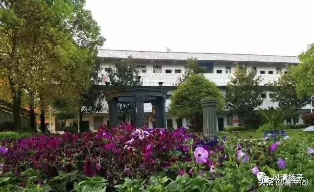 系列散文——李淑孟:我们的学校是花园(之二十)