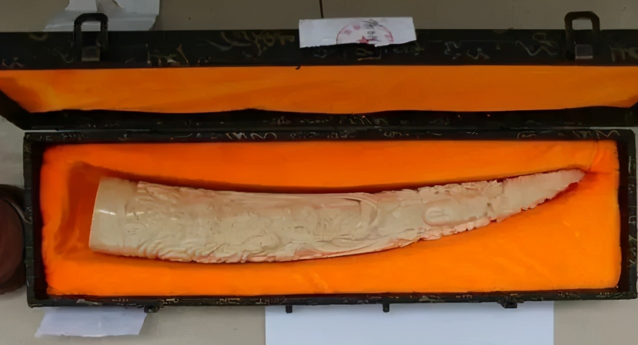 羚羊角重量,羚羊角200多公斤