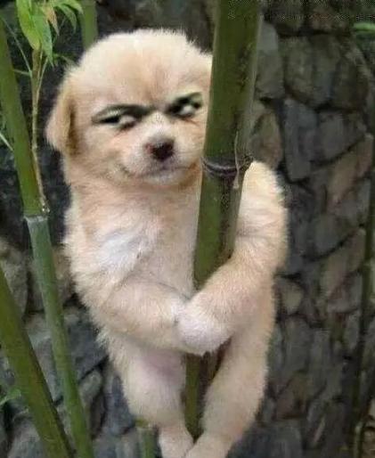 防止蹭网小妙招隐藏wifi,店里wifi被很多人连过会有影响吗