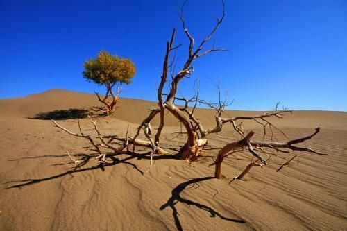 教改20年,三线以下城乡素质教育的问题和希望(原创