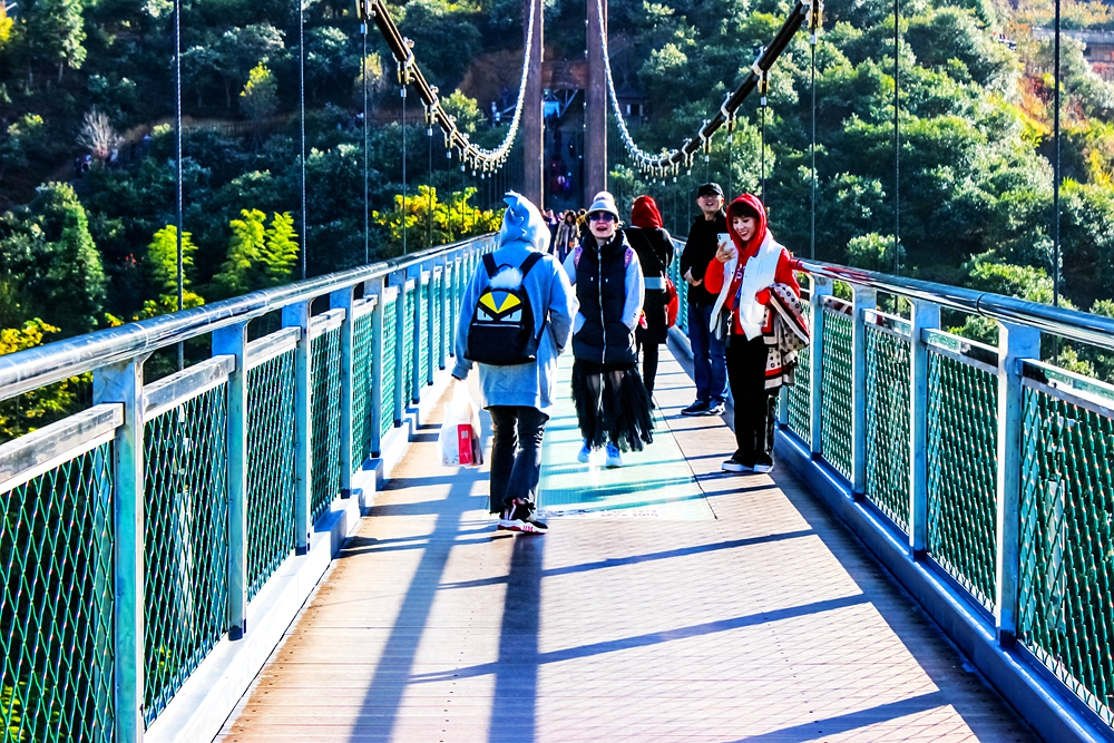 婺源篁岭梯田花海,婺源篁岭欢乐颂