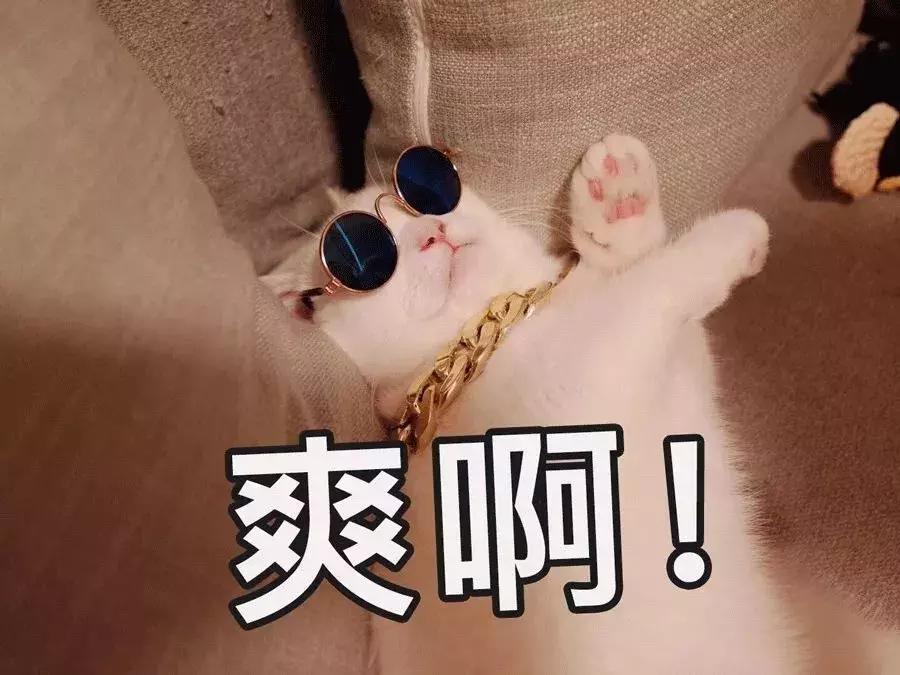 张嘉倪和买超谈恋爱完整版,又想骗我谈恋爱系列