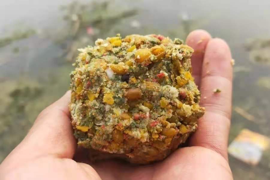 大板鲫怎么捕,大板鲫怎么诱进窝子来