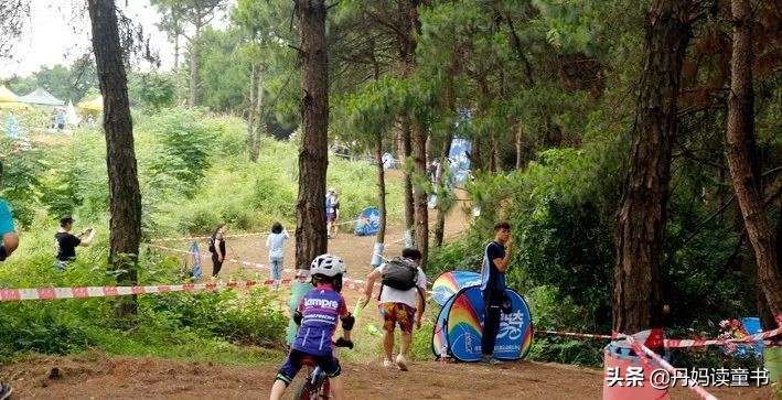 15款平衡车大摸底 (平衡车大摸底)