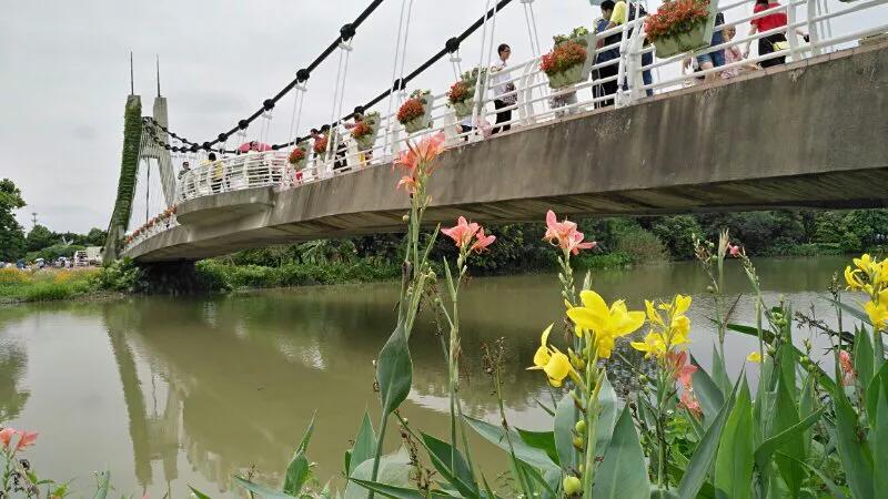 手拍世界,手拍世界作品专集