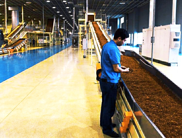 就业“奇观”：卷烟厂为何大受欢迎呢？背后的原因令人信服