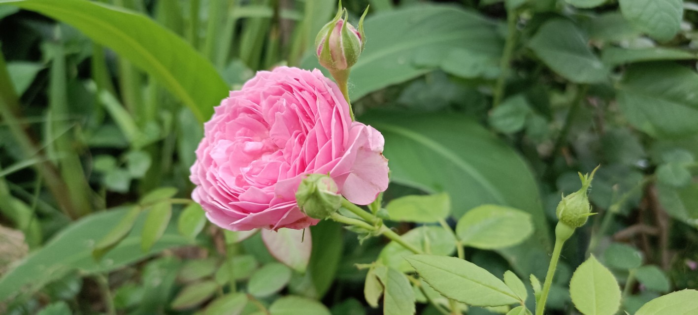 生活，因为喜欢肖战而不同