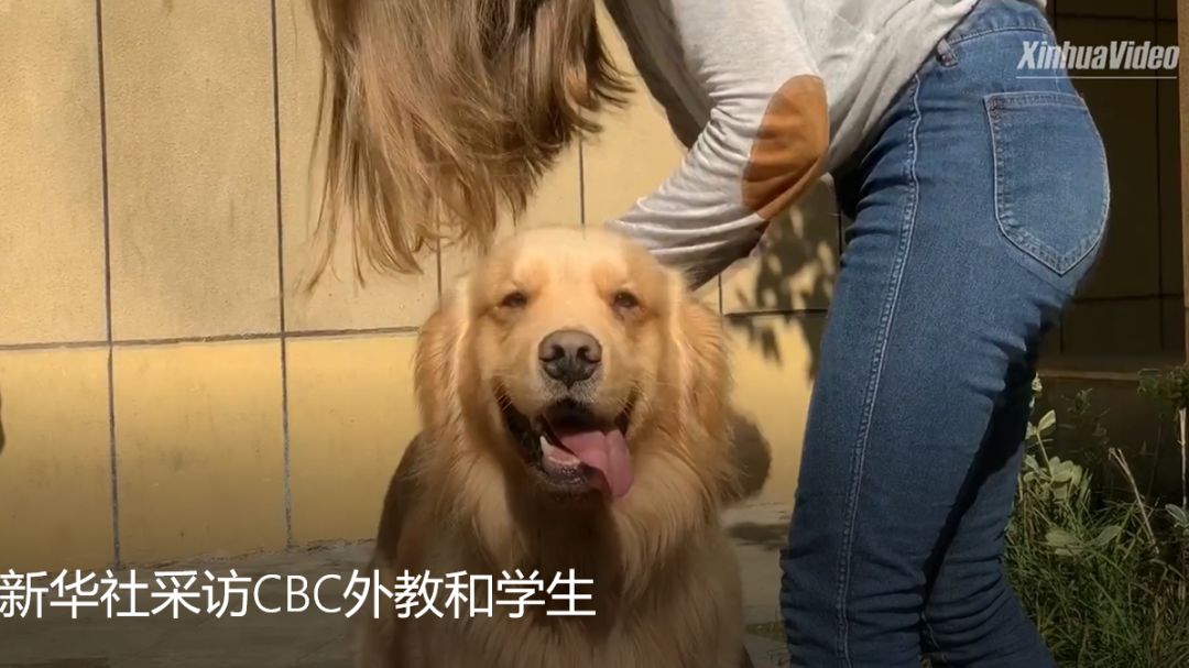 合肥一中加拿大高中介绍,合肥一中加拿大外教