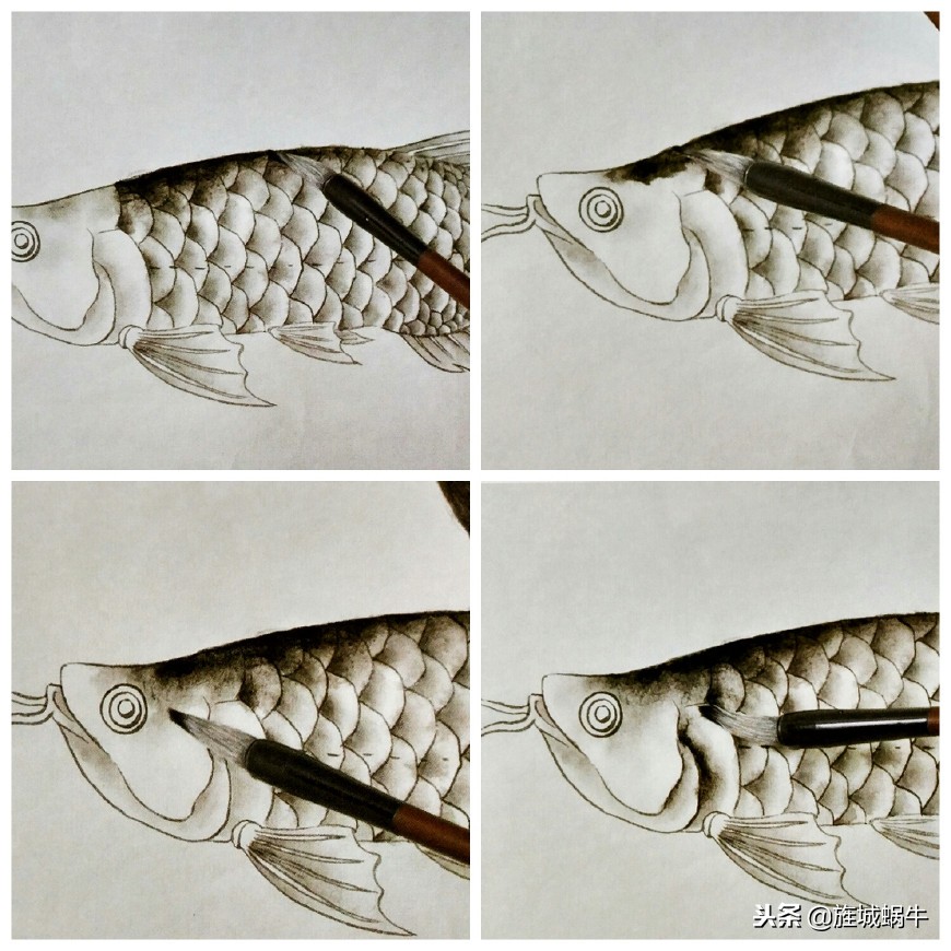 怎么样画出特别大的金龙鱼,金龙鱼的淡色工笔画法