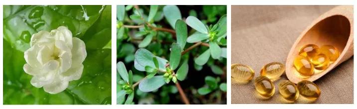 真正的口红造型,国风口红什么颜色好