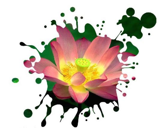 ps新手快速入门一对一教程,ps进阶教程全套免费自学