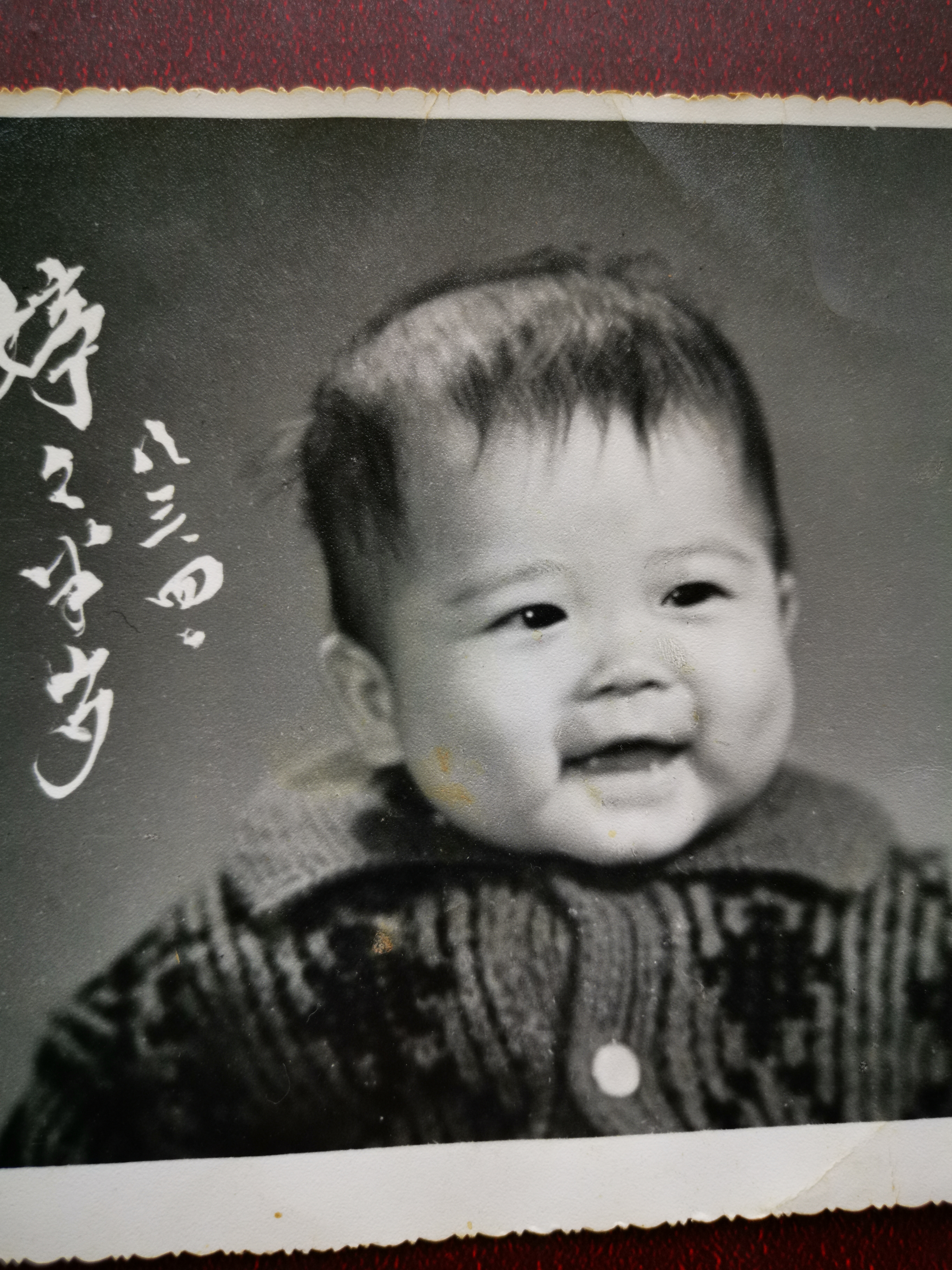 已走过的路无需回头看,已走过的路回不去