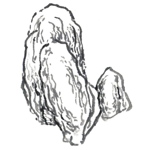 山石的常用皴法,山石的各种皴法介绍