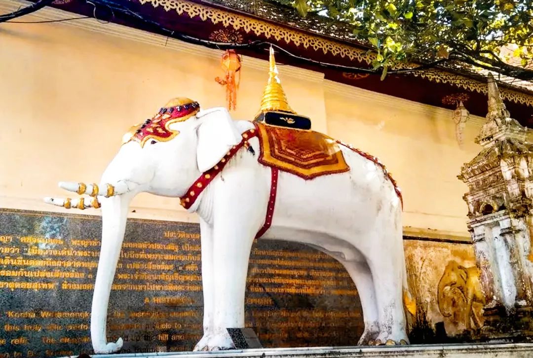 泰国去寺庙祈福攻略,泰国卧佛寺打卡攻略