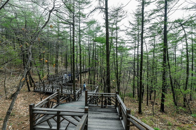 太行山之美巍峨壮丽,太行山最美的免费风景在哪里