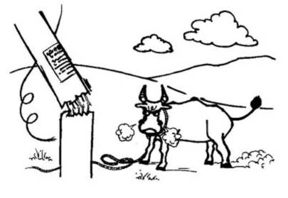 挖掘机挖断光缆笑话,挖机挖断光缆怎么处理