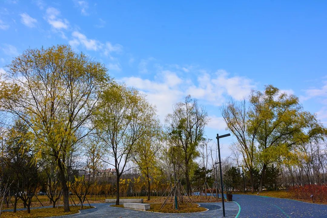 北京新开40个公园在哪里,北京十佳公园